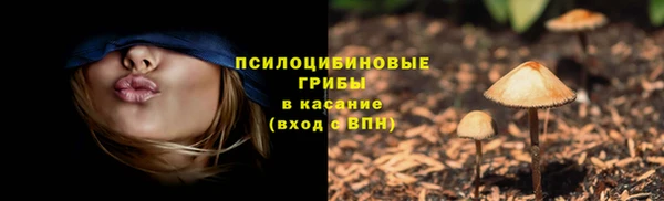 дурь Абинск