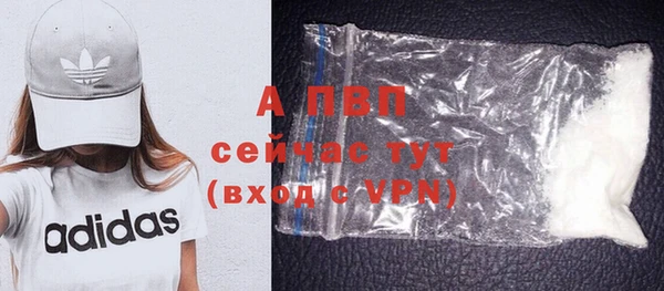 спайс Пересвет