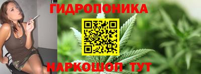 стаф Шебекино