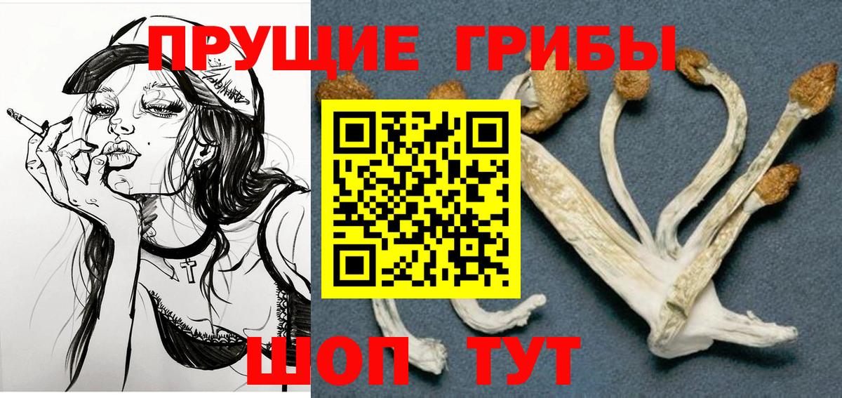 Псилоцибиновые грибы ЛСД Александров